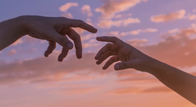 In harmony with myself and the world - Bioperfection