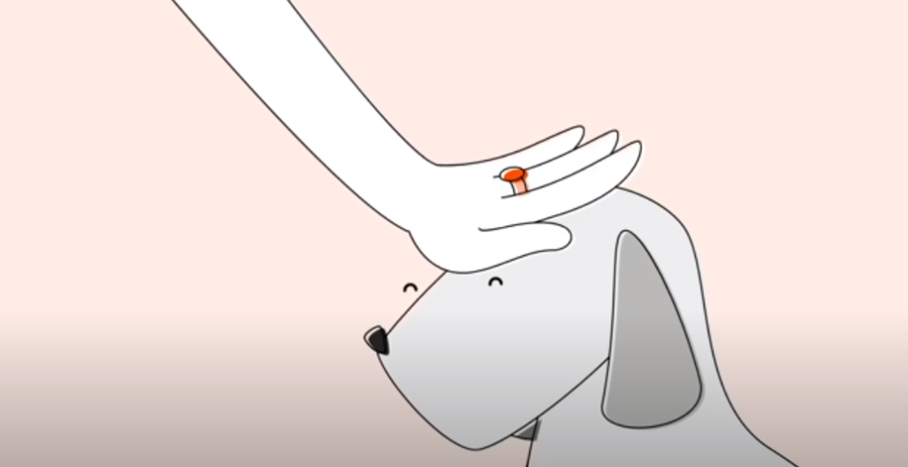 A hand with a ring on the middle finger stroking a dog